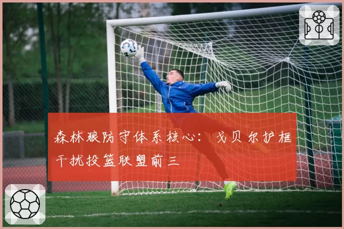 森林狼防守体系核心:戈贝尔护框干扰投篮联盟前三