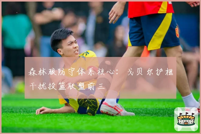 森林狼防守体系核心:戈贝尔护框干扰投篮联盟前三